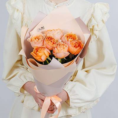 Популярные категории